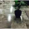 LIVINGSTONE - Image 7